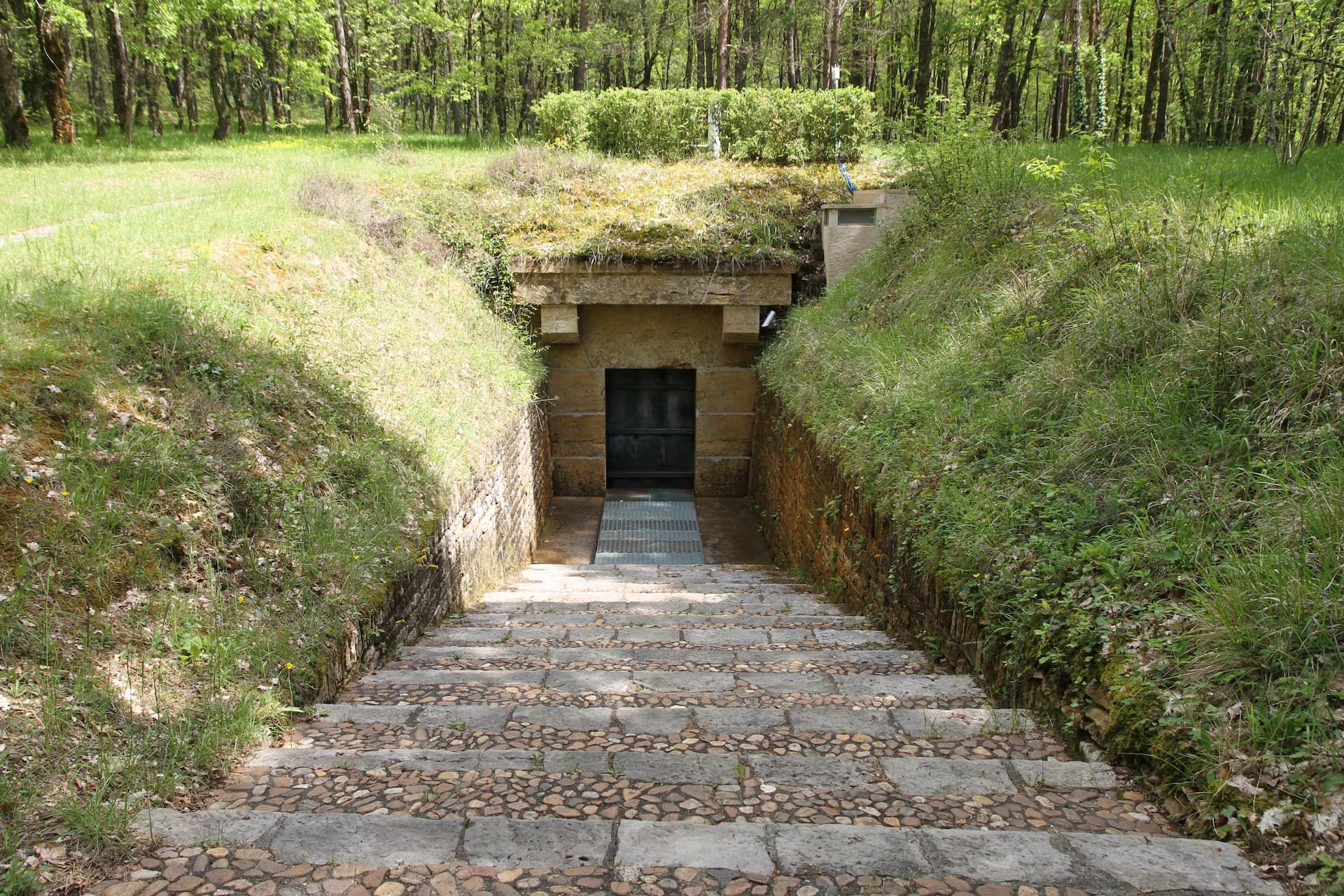 The entrance to Lascaux cave: a bronze door at the foot of a stone stairway, sealed into a grassy bank