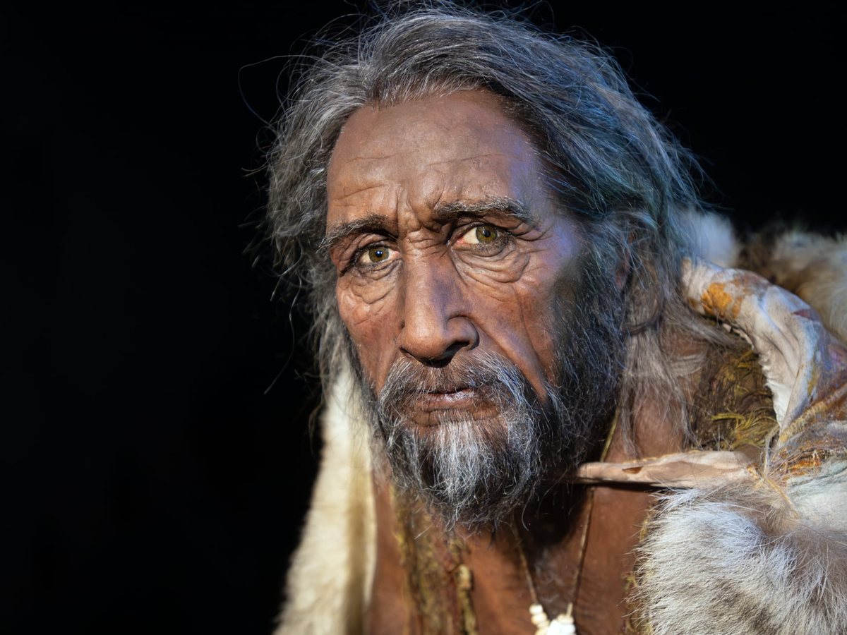 Portrait of a hyper-realistic reconstruction of a man from the time of Lascaux, by Élisabeth Daynès